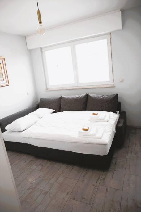 Charming Modern 2 Bedroom *